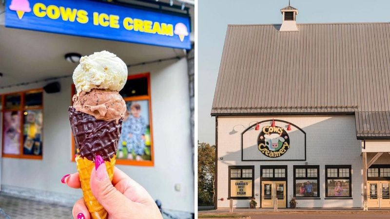 Cows Creamery