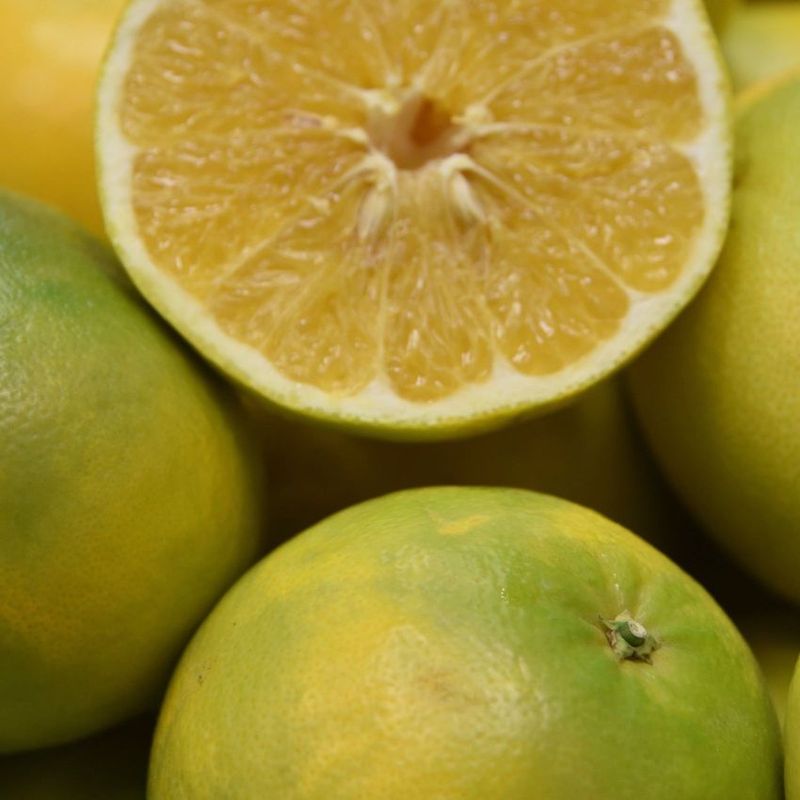 Cocktail Grapefruit