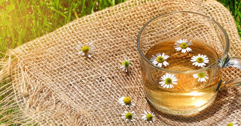 Chamomile Tea