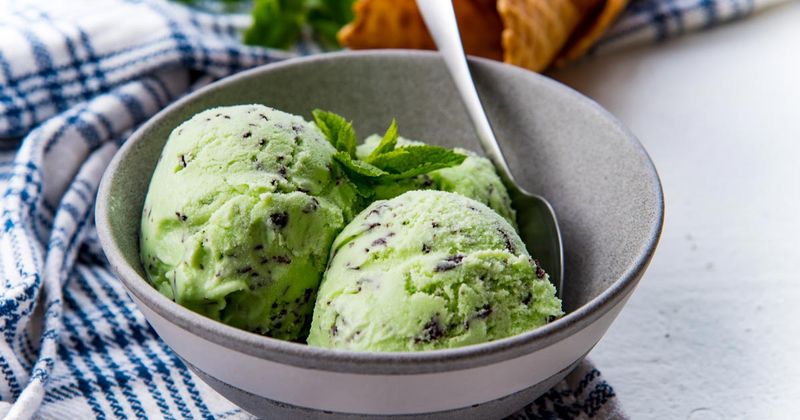 Mint Chocolate Ice Cream