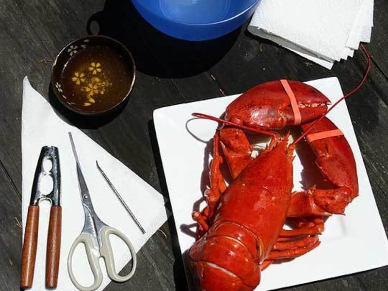 Use a Napkin to Hold the Lobster