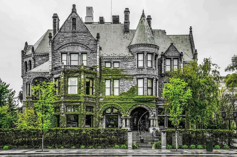 The Whitney