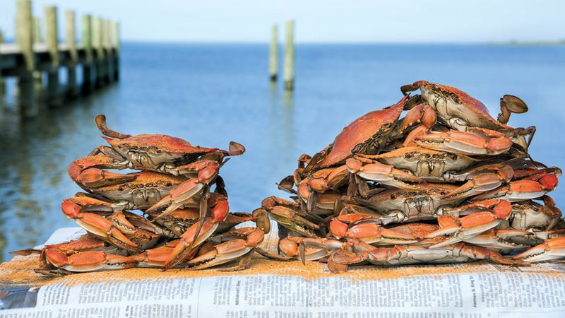 Virginia - Chesapeake Charm