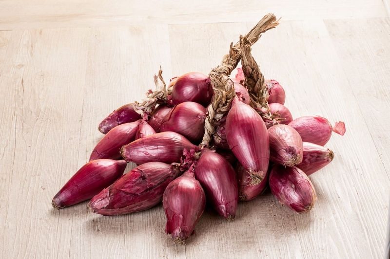 Torpea Onion