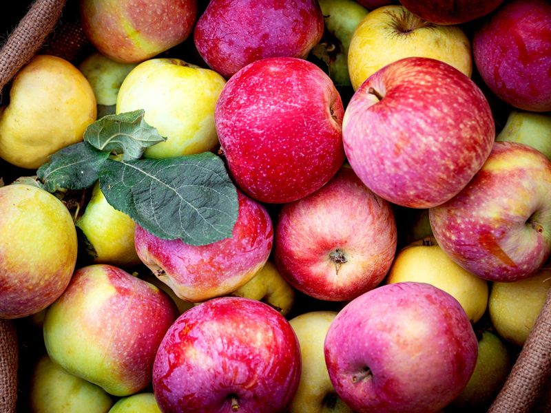 Apples