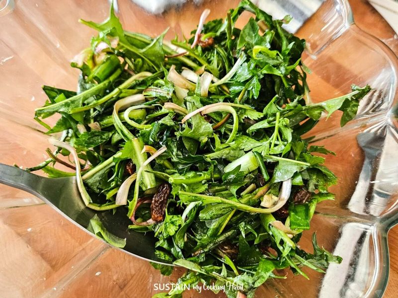 Dandelion Salad