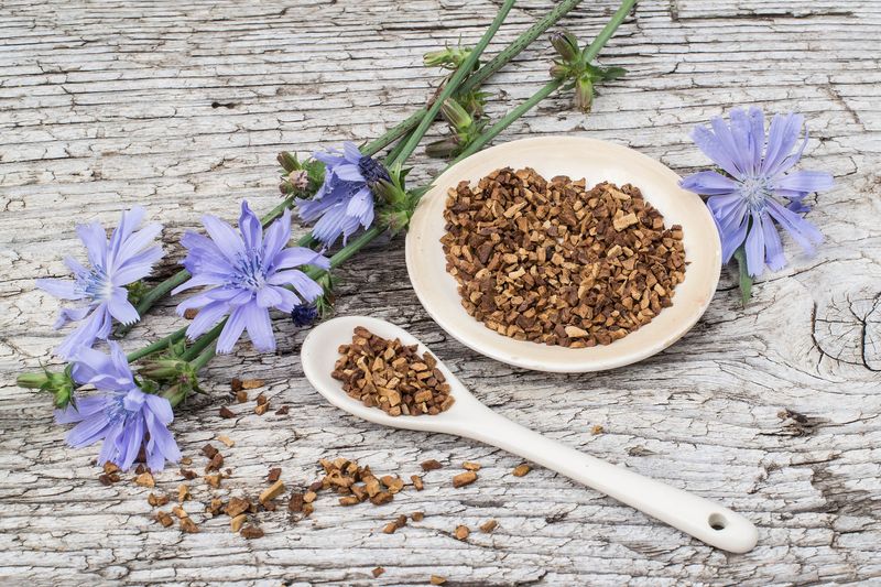 Chicory Root