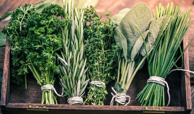 Use Fresh Herbs
