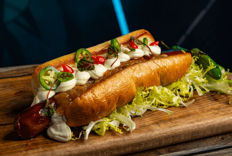 Seattle Dog – Washington
