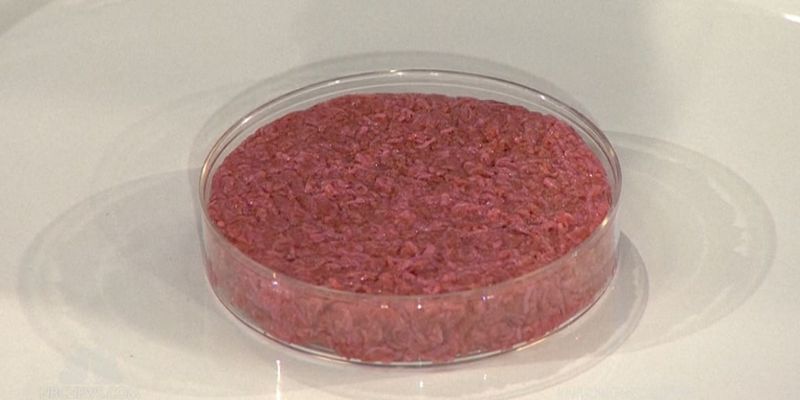 Lab-Grown Meat