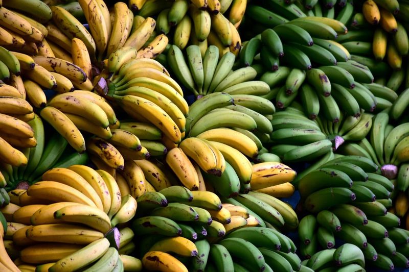 Bananas