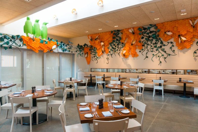 Arkansas: The Hive – Bentonville