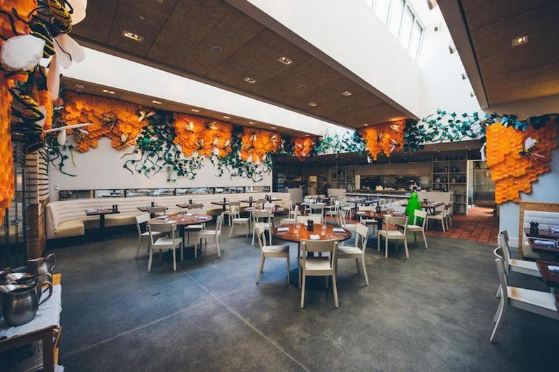 Arkansas: The Hive – Bentonville