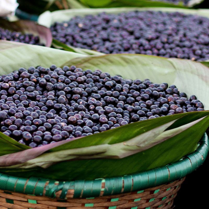 Acai Berries