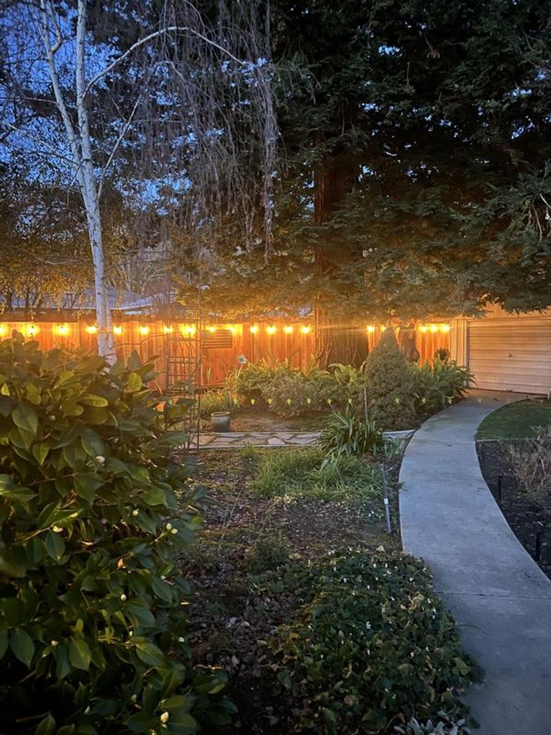 Feit Electric 48' LED Filament String Light Set