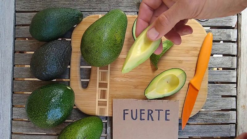 Fuerte Avocado
