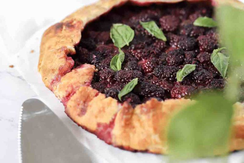 Berry Galette