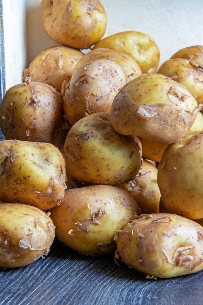 La Bonnotte Potatoes – France