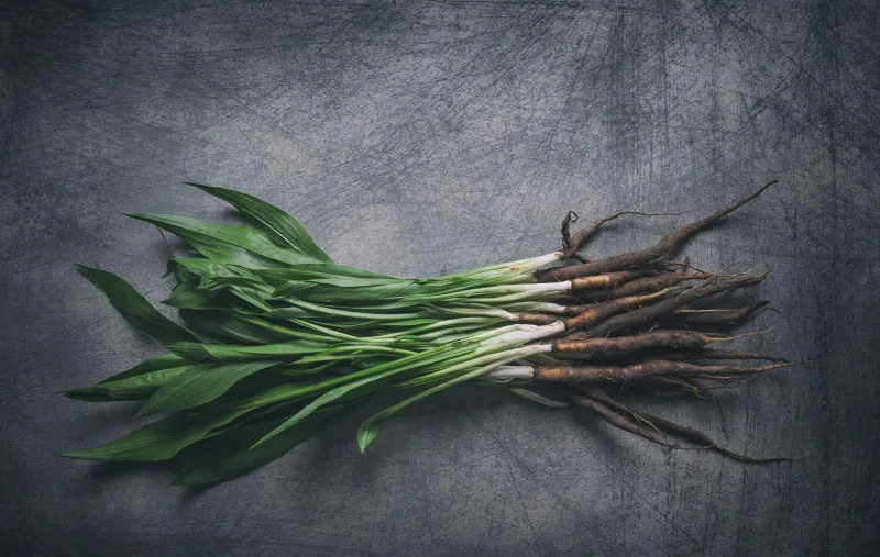 Salsify