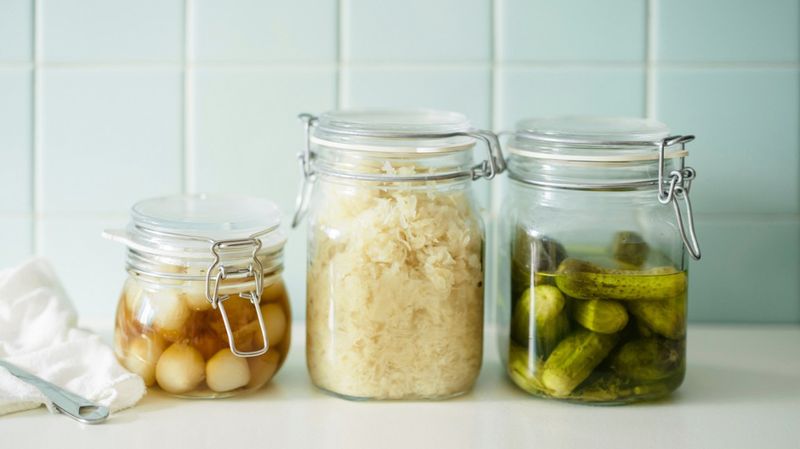 Fermented Everything