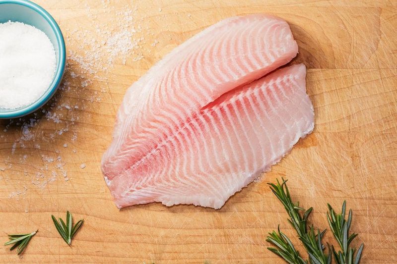 Tilapia