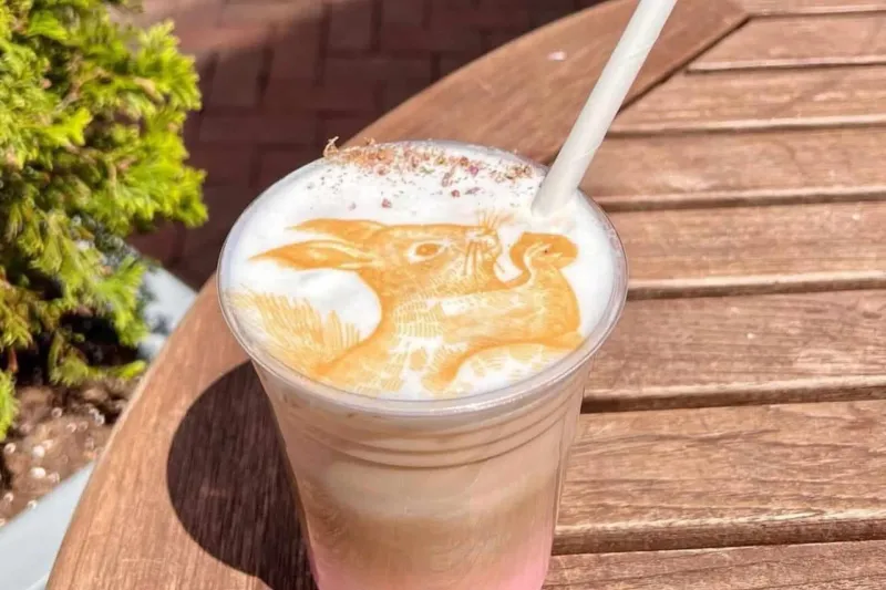 Iced Matcha Latte