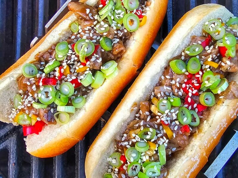 Asian Fusion Dog