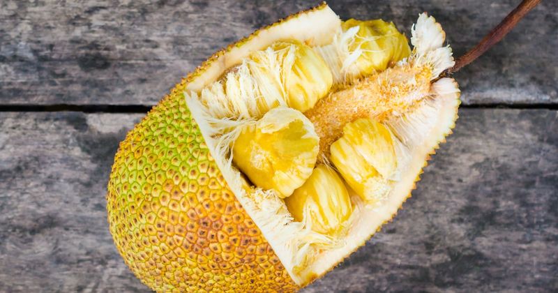 Jackfruit