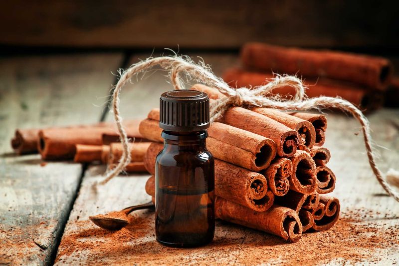 Natural Pest Repellent