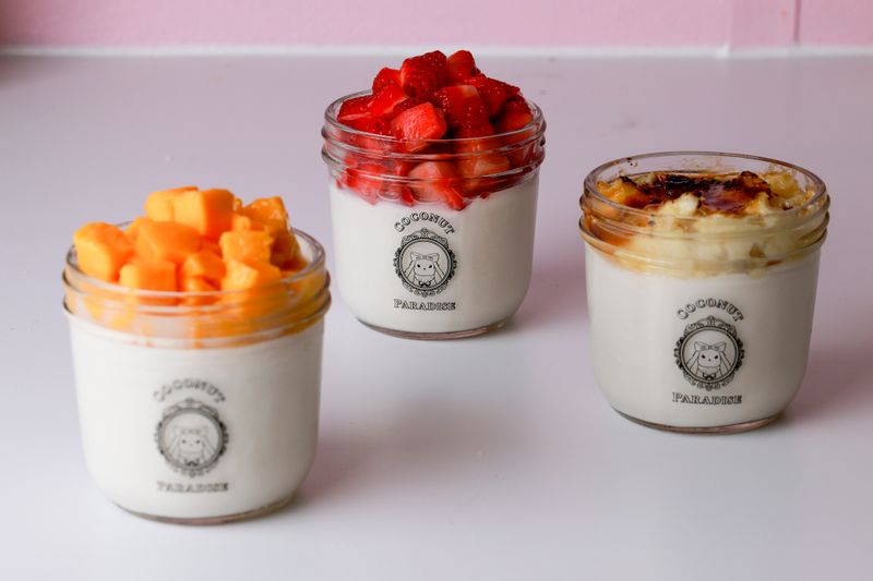 Coconut Paradise