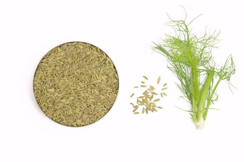 Fennel Seeds