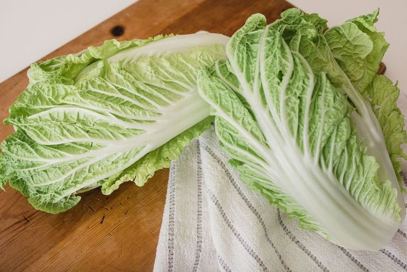 Napa Cabbage