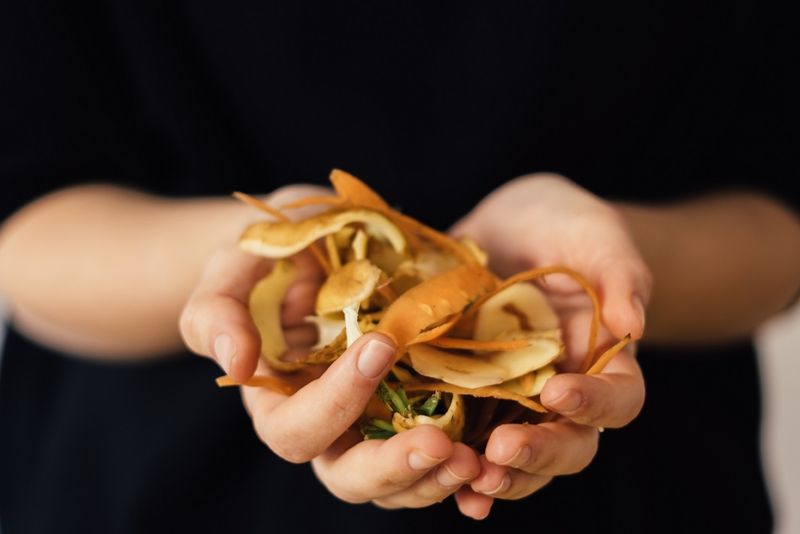 Upcycled Foods