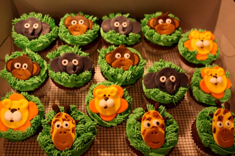 Safari Adventure Cupcakes