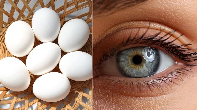 Eggs and Eye Health