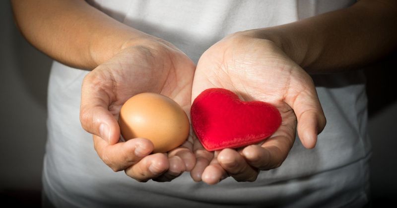Eggs and Heart Health