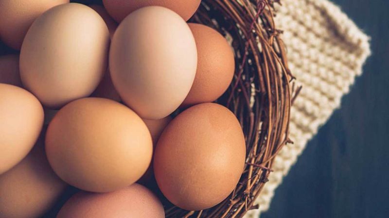 Eggs for Sustainable Eating