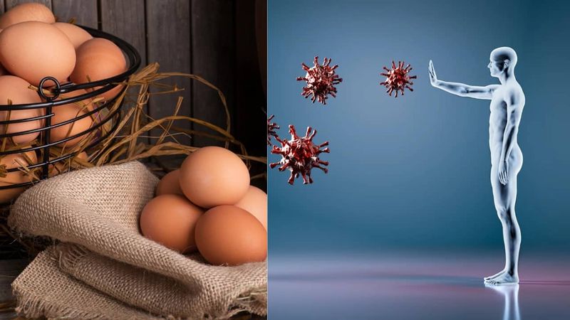 Boosting the Immune System