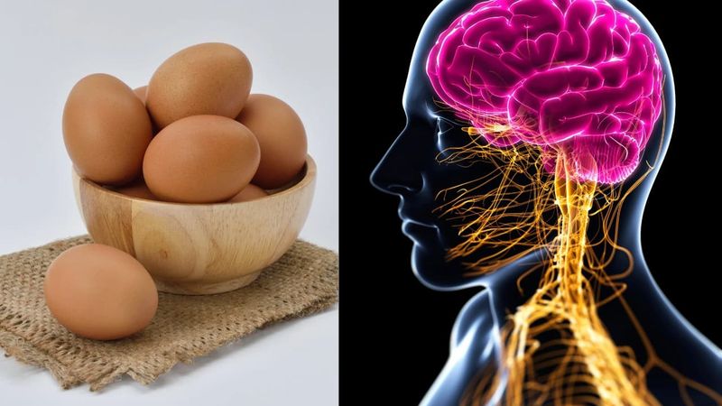 Eggs and Brain Function