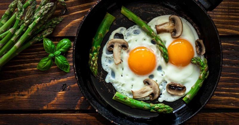 Protein Powerhouse