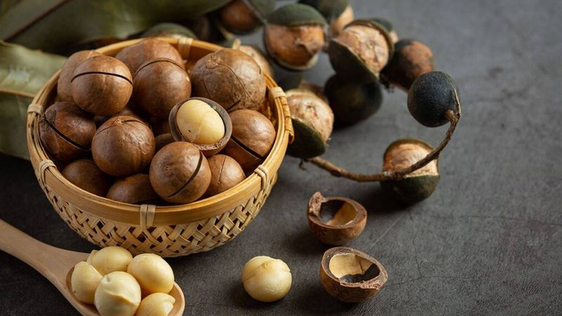 Promotes Bone Health