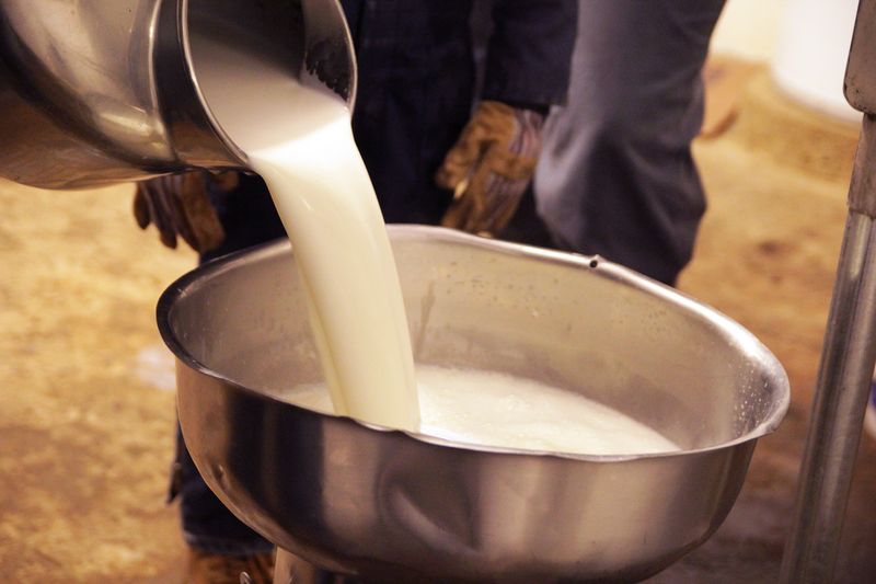 Unpasteurized Milk