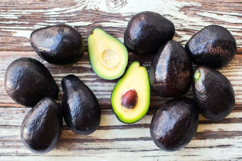 Holiday Avocado