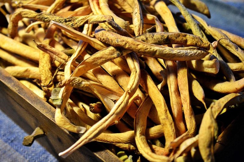 Dried Beans