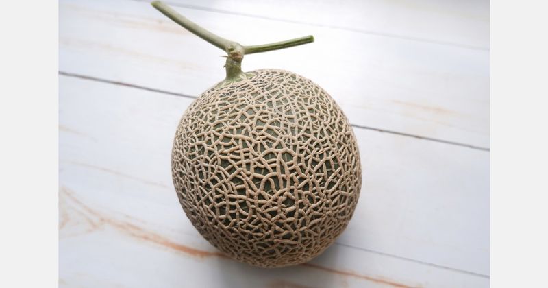 Yubari King Melon