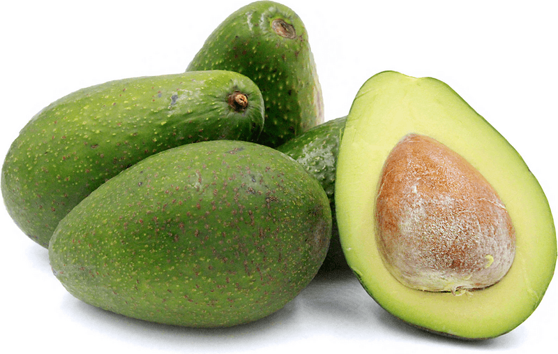 Zutano Avocado