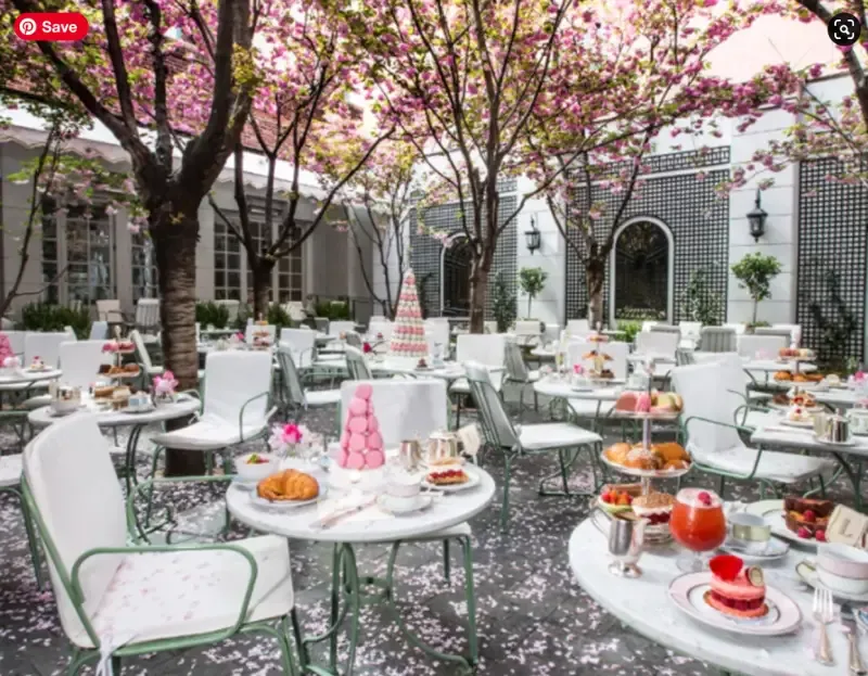 Cherry Blossom Brunch