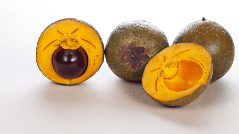 Lucuma