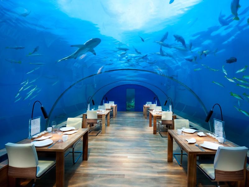 Underwater Adventure Eatery