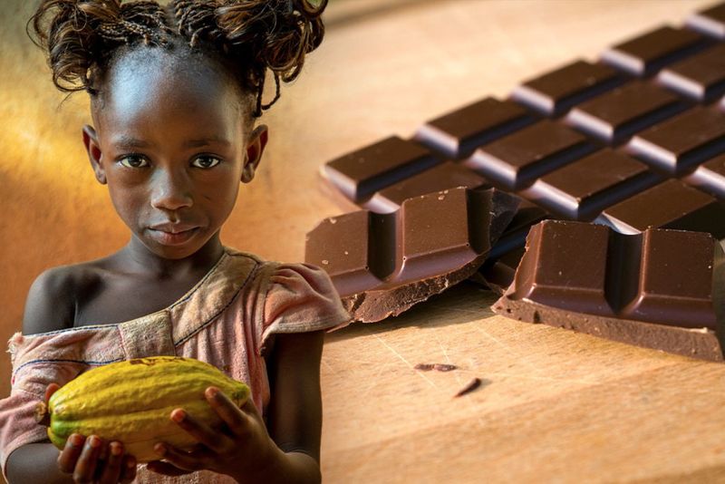 Lack of Corporate Social Responsibility